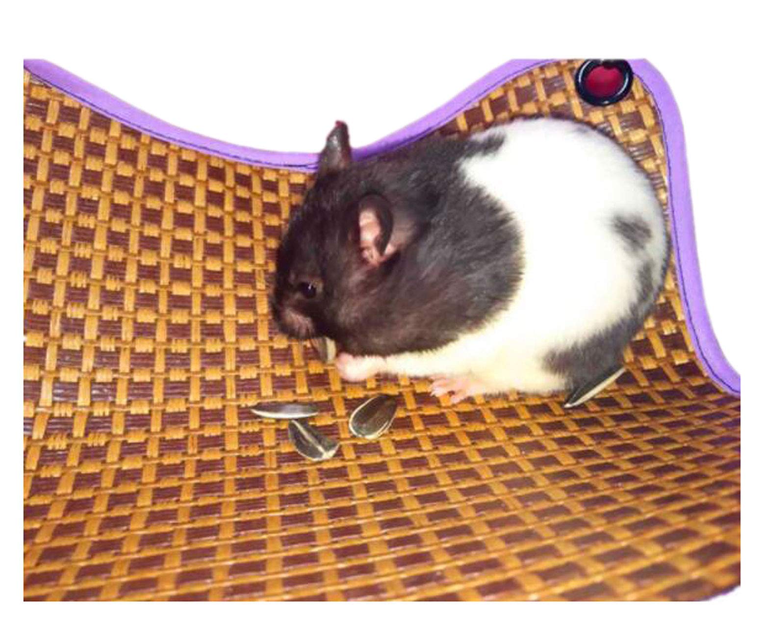 Amazon | ふく福 涼しい ペットハムスター ハンモック 通気性小動物